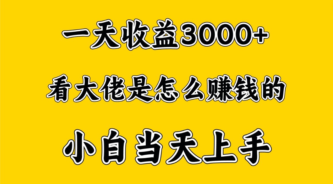 一天赚3000多，大佬是那样赚大钱的，新手当日入门，穷人翻身新项目-财富课程