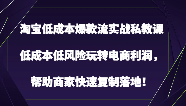 淘宝网降低成本爆品流实战演练私教，降低成本中低风险轻松玩电子商务盈利，帮助企业快速复制落地式！-财富课程