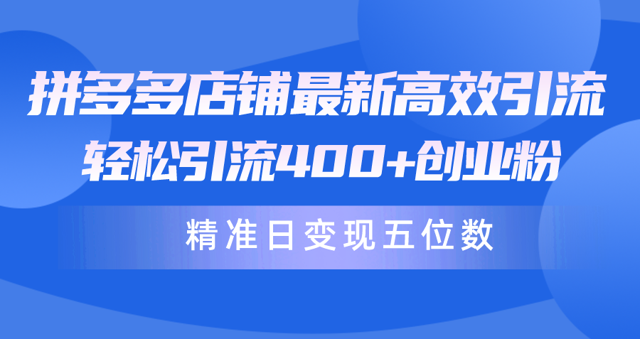 拼多多商家全新高效率引流术，轻轻松松引流方法400 自主创业粉，精确日转现五位数！-财富课程