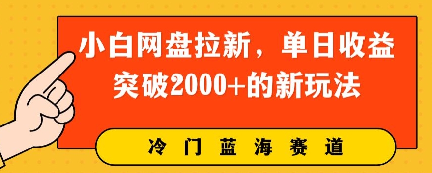 小白网盘引流，单日盈利提升2000 的新玩法-财富课程