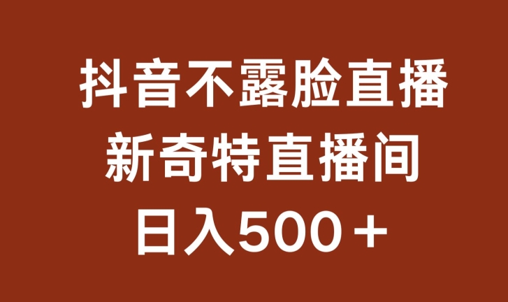 不露脸挂机直播，新奇特直播间，日入500+【揭秘】-财富课程