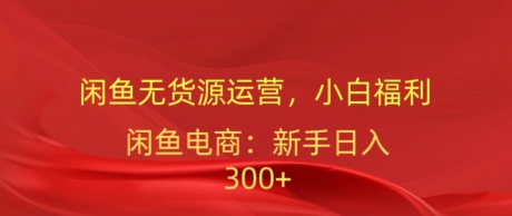 闲鱼平台无货源电商经营，新手褔利，日入300加-财富课程