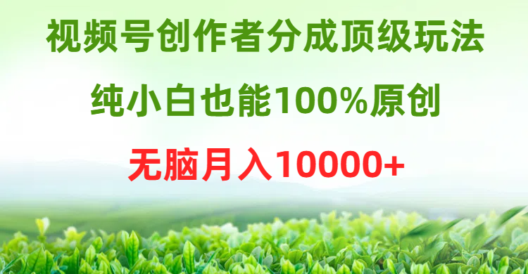 微信视频号原创者分为顶尖游戏玩法，纯小白也可以100%原创设计，没脑子月收入10000-财富课程