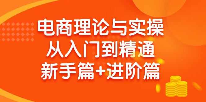 电子商务理论和实际操作实用教程：抖音小店 淘宝 多多的，初学者篇 实战篇-财富课程