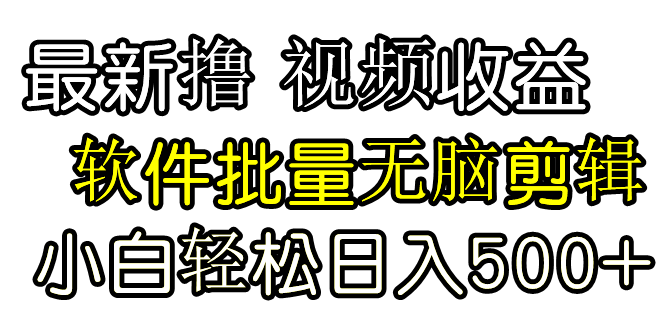 发视频撸收益，软件无脑批量剪辑，第一天发第二天就有钱-财富课程