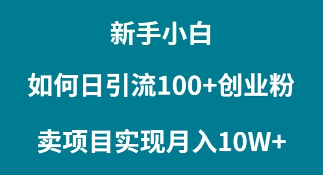 新手入门怎样通过卖项目完成月入10W-财富课程