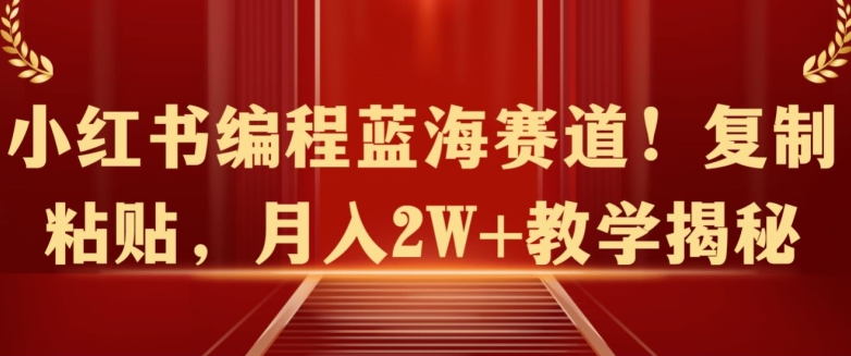 小红书编程蓝海赛道!复制粘贴，月入2W+教学揭秘-财富课程