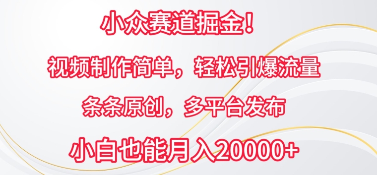 小众赛道掘金，视频制作简单，轻松引爆流量，条条原创，多平台发布【揭秘】-财富课程