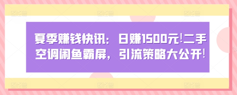 夏季赚钱快讯：日赚1500元，二手空调闲鱼霸屏，引流策略大公开!-财富课程