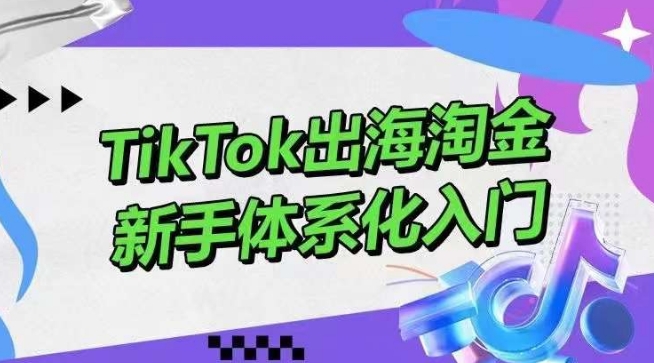 TikTok出海淘金，新手体系化入门，零基础快速入门，掌握短视频、直播带货等引流到变现的知识-财富课程