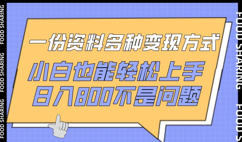 一份资料多种变现方式，小白也能轻松上手，日入800不是问题【揭秘】-财富课程