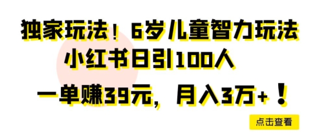 独家玩法，6岁儿童智力玩法，小红书日引100人-财富课程