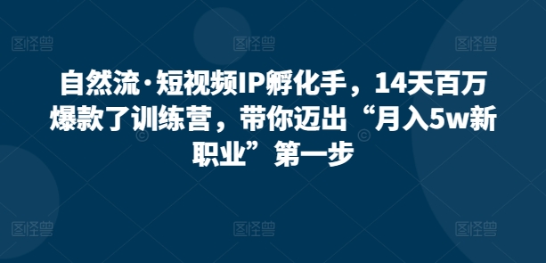 自然流·短视频IP孵化手，14天百万爆款了训练营，带你迈出“月入5w新职业”第一步-财富课程