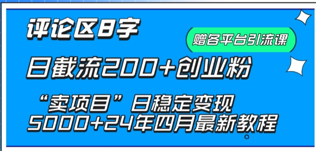 抖音评论区8字日截流200+创业粉 “卖项目”日稳定变现5000+【揭秘】-财富课程