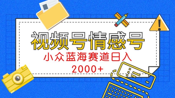 视频号情感号小众蓝海赛道，每天一小时，日入3000+-财富课程