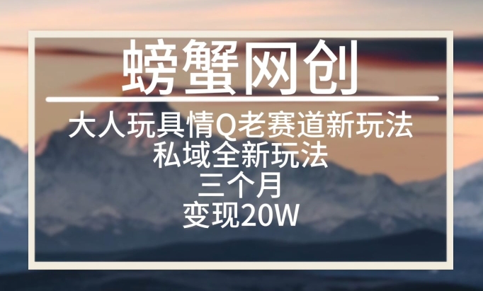 大人玩具情Q用品赛道私域全新玩法，三个月变现20W，老项目新思路【揭秘】-财富课程