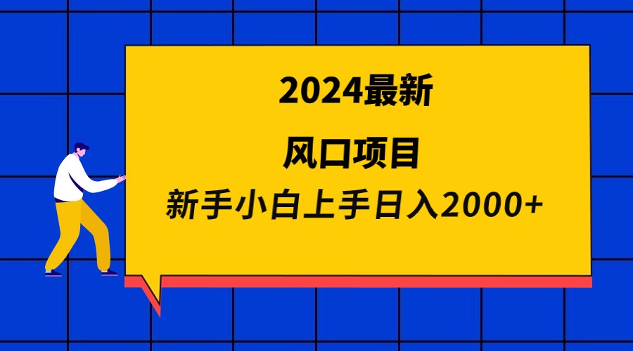 2024全新蓝海项目 新手入门日入2000-财富课程