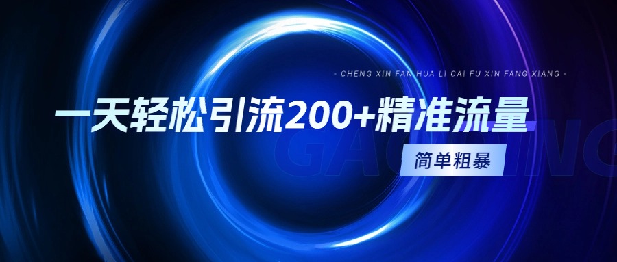 一天轻轻松松引流方法200 精准流量人群，简单直接，一看就会-财富课程