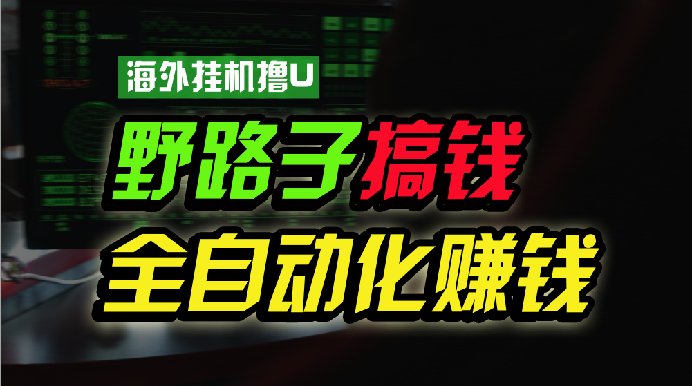 国外放置挂机撸U新渠道，日赚8-15美金，全过程无人化，可大批量变大，个人工作室…-财富课程