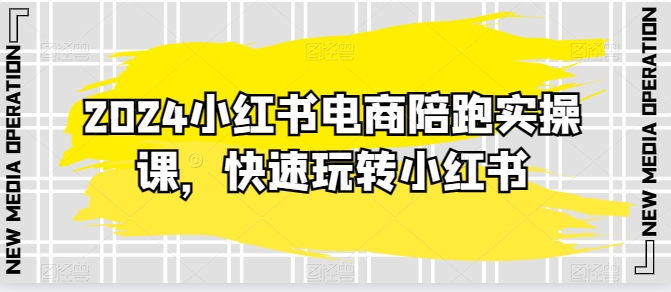 2024小红书电商陪跑实操课，迅速轻松玩小红书的，超出20节精细化管理课程内容-财富课程