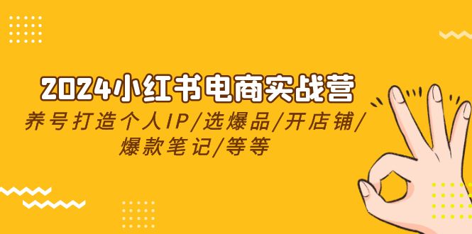 2024小红书电商实战营，起号打造出IP/选爆款/开店铺/爆品手记/等-财富课程