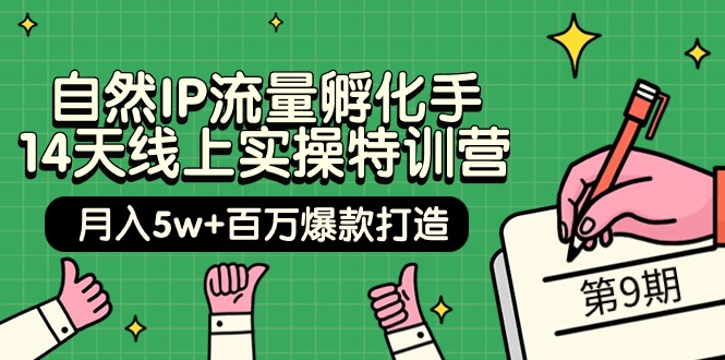 当然IP总流量卵化手 14无线天线上实际操作夏令营【第9期】月入5w 上百万爆款打造 (74节)-财富课程