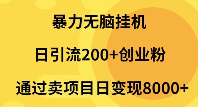 暴力行为没脑子放置挂机日引流方法200 自主创业粉根据卖项目日转现2000-财富课程