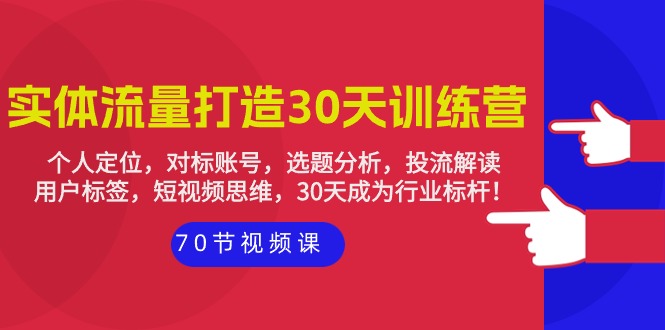 实体线-总流量打造出-30天夏令营：个人定位，对比账户，论文选题剖析，投流讲解-70节-财富课程