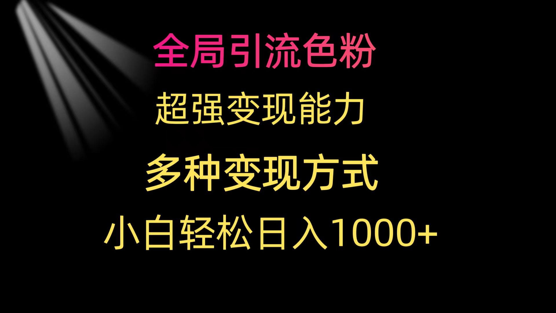 全局性引流方法颜料 极强变现力 多种多样变现模式 新手轻轻松松日入1000-财富课程