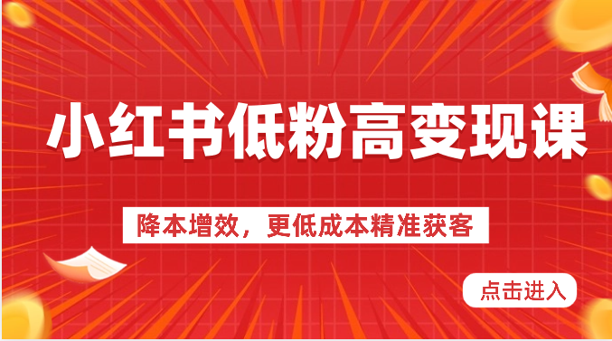 小红书的低筋粉高转现课-降低成本，更低成本营销获客，小红书的必出平台流量登陆密码-财富课程