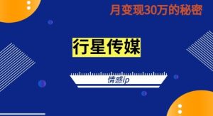 2024抖音情感ip项目单月变现30w的秘密全新蓝海赛道-财富课程