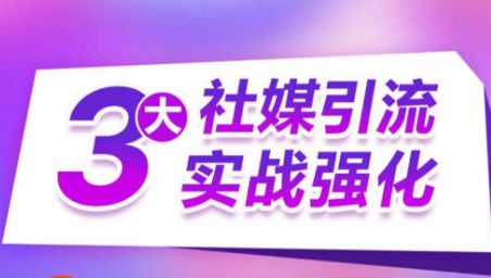 3大社交媒体引流方法实战演练加强，多种渠道站外引流，高效率营销获客，订单信息销售总额翻倍增长-财富课程