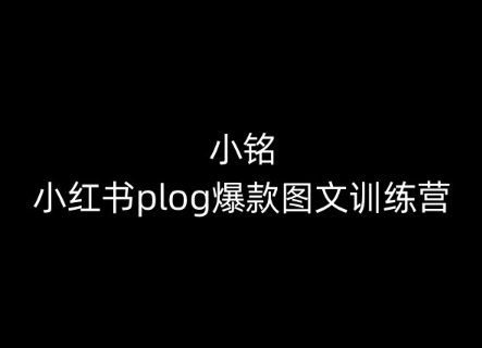 小铭-小红书的plog爆品图文并茂夏令营，教大家从0-1做小红书的-财富课程