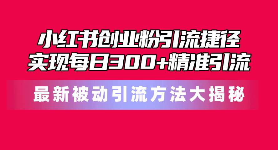 小红书创业粉引流捷径！最新被动引流方法大揭秘，实现每日300+精准引流-财富课程