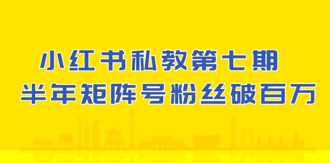 小红书的私人教练第七期，小红书的90天增粉18w，1周增粉过万 大半年矩阵账号粉丝们破百万-财富课程