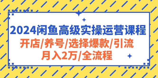 2024闲鱼高级实操运营课程：开店/养号/选择爆款/引流/月入2万/全流程-财富课程