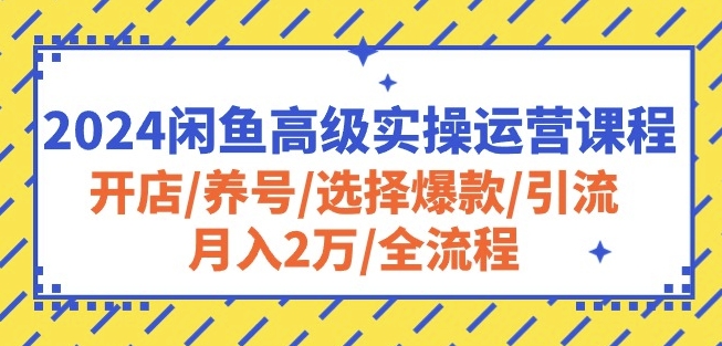 2024闲鱼高级实操运营课程：开店/养号/选择爆款/引流/月入2万/全流程-财富课程