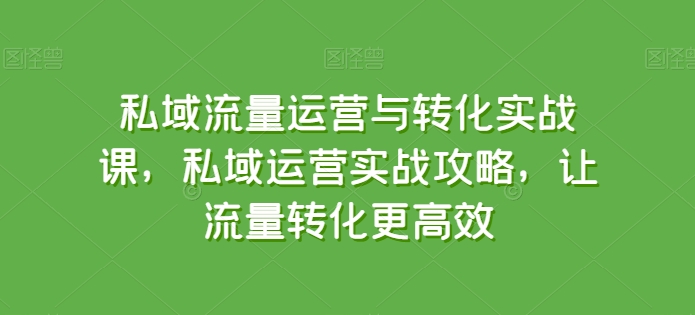 私域流量运营与转化实战课，私域运营实战攻略，让流量转化更高效-财富课程