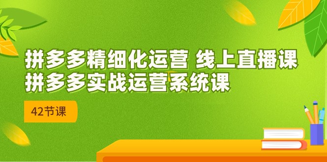 拼多多精细化运营 线上直播课：拼多多实战运营系统课-财富课程