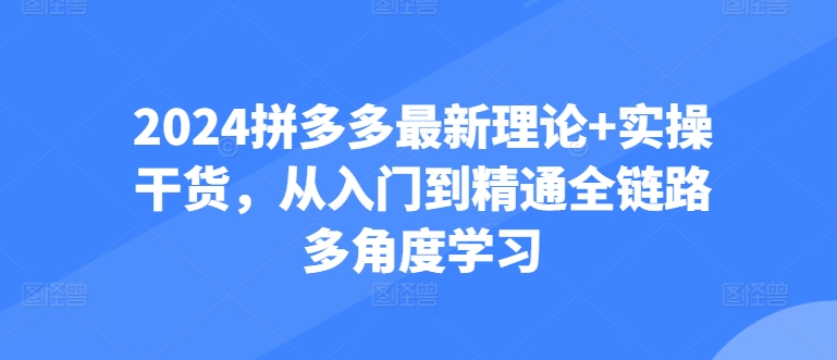 2024拼多多最新理论+实操干货，从入门到精通全链路多角度学习-财富课程