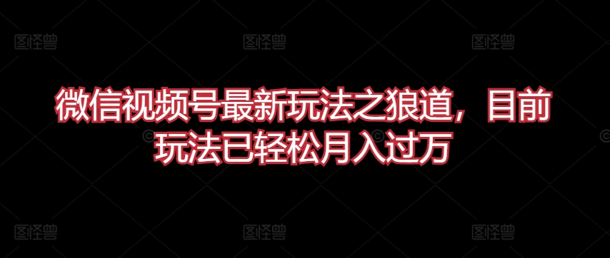 微信视频号最新玩法之狼道，目前玩法已轻松月入过万【揭秘】-财富课程