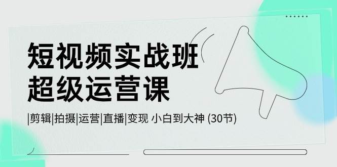 短视频实战班-超级运营课，|剪辑|拍摄|运营|直播|变现 小白到大神 (30节)-财富课程