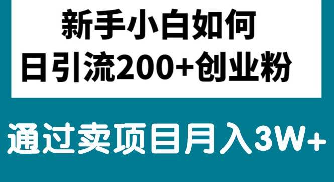 新手小白日引流200+创业粉,通过卖项目月入3W+-财富课程