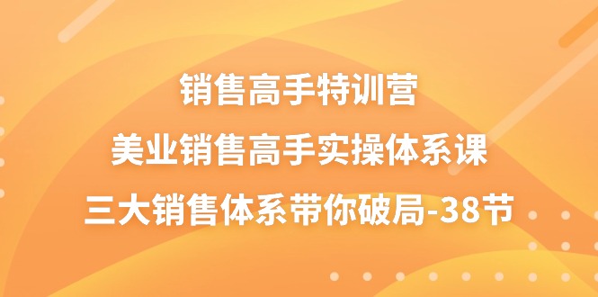 销售-高手特训营，美业-销售高手实操体系课，三大销售体系带你破局-38节-财富课程