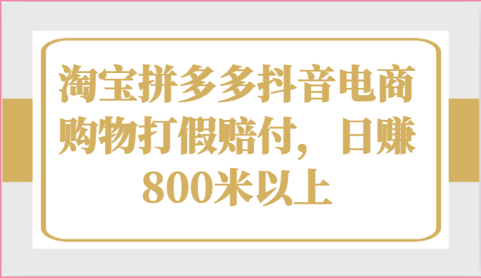 淘宝拼多多抖音电商购物打假赔付，日赚800米以上-财富课程