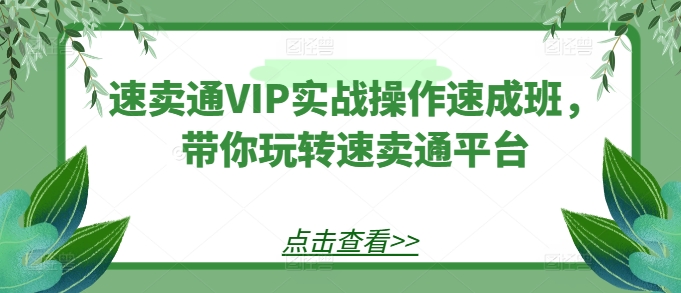 全球速卖通VIP实战操作短期培训班，带你玩转速卖通平台-财富课程