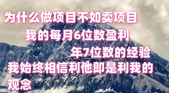 做项目不如卖项目，每月6位数盈利，年7位数经验-财富课程