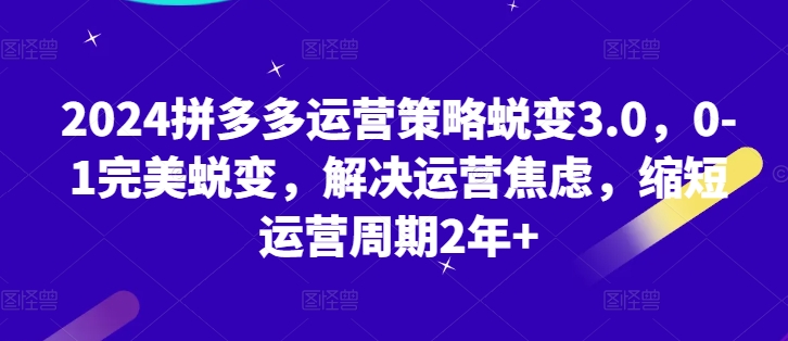 2024拼多多运营对策成长3.0，0-1华丽蜕变，处理经营焦虑情绪，减少运营周期2年-财富课程