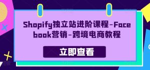 Shopify自建站升阶课程内容-Facebook营销推广-跨境电子商务实例教程-财富课程