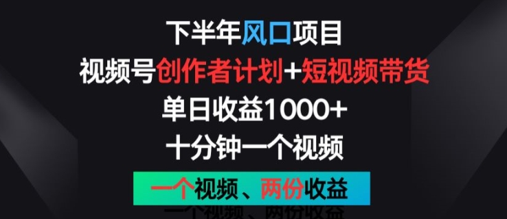 后半年蓝海项目，微信视频号创作者计划 短视频带货，一个视频二份盈利，十分钟一个视频【揭密】-财富课程